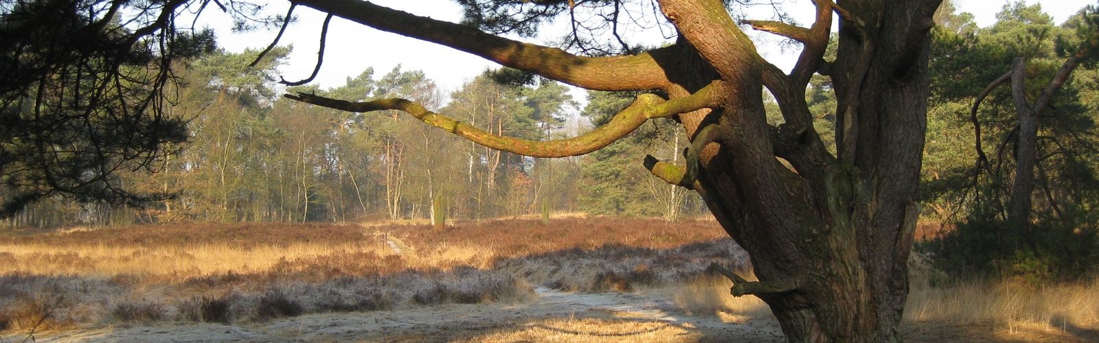 Sfeerbeeld van Den Treek, Leusden