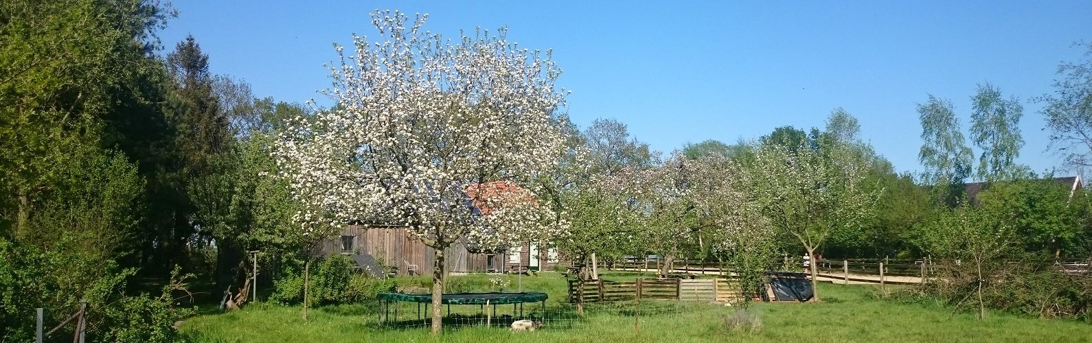 Sfeerbeeld van Gastvrije leden