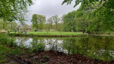 Sfeerbeeld van Gastvrije leden